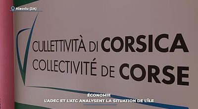 Économie : l'ADEC et l'ATC analysent la situation de l'île