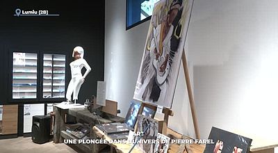 Art : une plongée dans l'univers de Pierre Farel