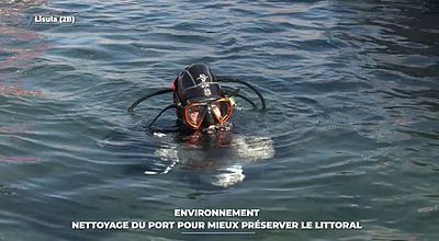 Environnement : nettoyage du port pour mieux préserver le littoral