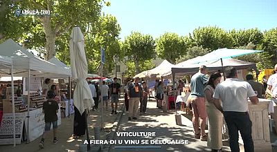 video | Viticulture : a fiera di u vinu se délocalise