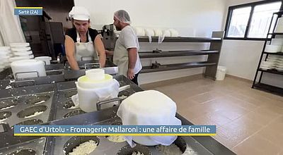 GAEC d'Urtolu - Fromagerie Mallaroni : une affaire de famille
