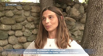 video | Oléiculture : le 16e concours régional d'huile d'olive