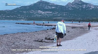 video | Environnement : une collecte de déchets organisée sur la plage de la pinède