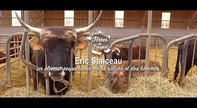 Terres de France, Eric Sanceau, un éleveur respectueux de la nature et des hommes