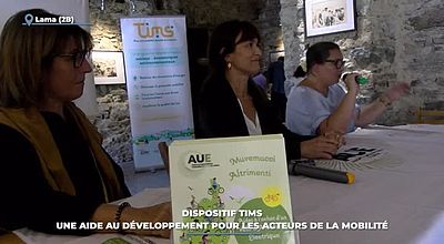 Dispositif TIMS : une aide au développement pour les acteurs de la mobilité